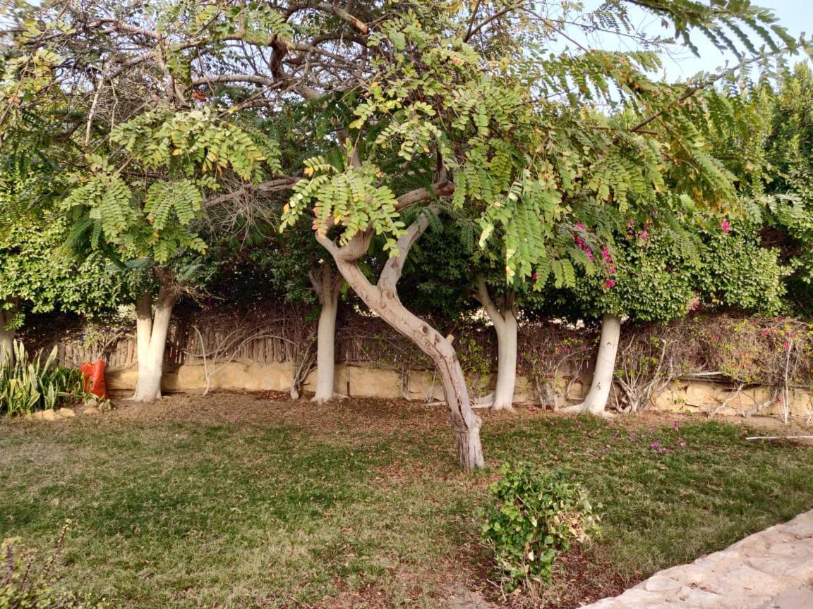 Tunis Lake View ‘Izbat an Nāmūs Dış mekan fotoğraf